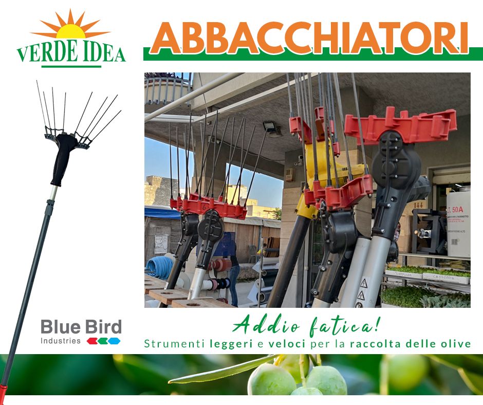 Abbacchiatori Blue Bird